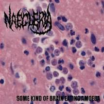 Naegleria : Some Kind of Brain Eating Amoeba